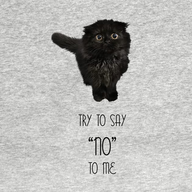 Gimo the cat - Try to say no to me - Catshirt - Cats lover - Animals lover - Vegan - Kawaii gift idea by Vane22april